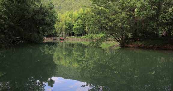 美丽的湖水绿色森林景观 常熟虞山宝岩景区