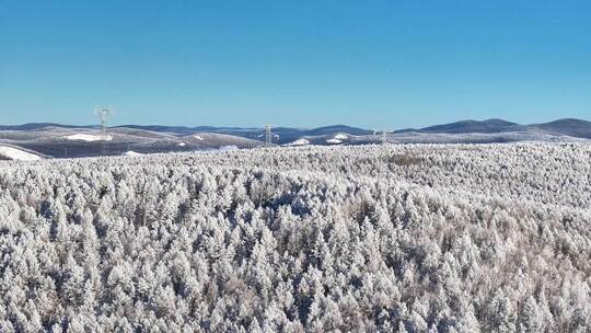 穿越大兴安岭林海雪原雪森林的输电线路2515