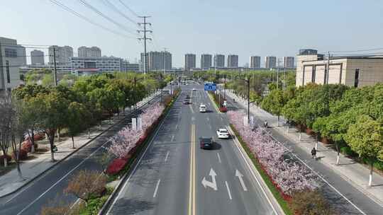 4K航拍春天的道路