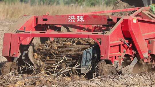 农田红色收割机作业画面