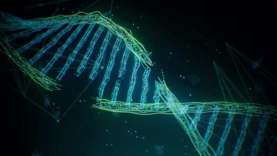 科技信息化数据DNA