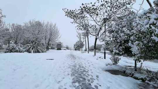 手机4K摄宜昌伍家岗滨江雪景7