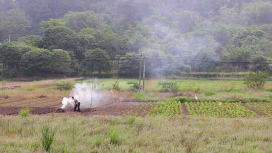 田间农民焚烧秸秆场景