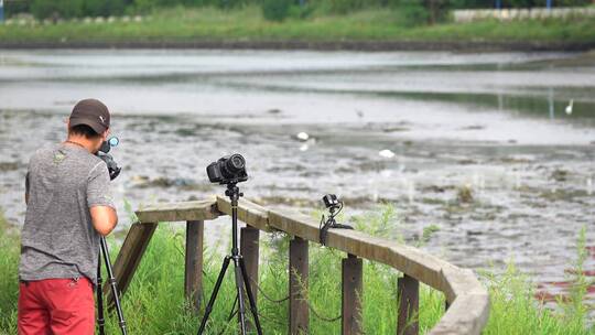 在河边水域正在拍摄鸟类活动的摄影摄像师