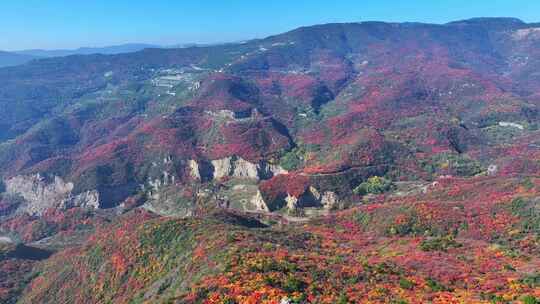 航拍太原西山红叶