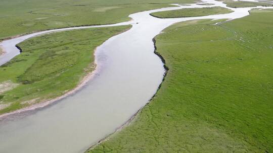 新疆巴音布鲁克开都河湿地草原航拍