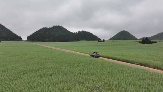 云南罗平油菜花田油菜籽汽车公路航拍