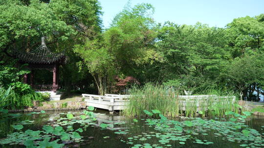 武汉东湖风景区湖北书画院