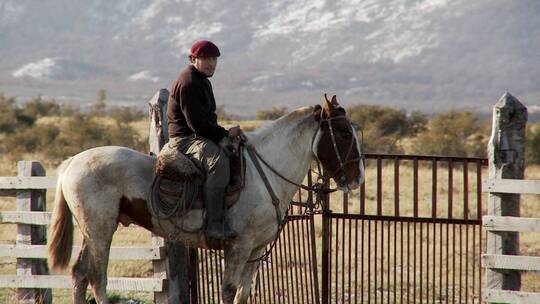 来自阿根廷的高乔牛仔骑着马并看着他们的田野和羊群视频素材模板下载