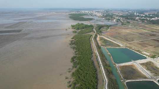 湛江北部湾红树林湿地航拍