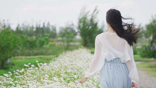 升格唯美的少女与花海