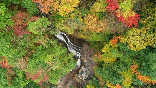 航拍秋天彩林瀑布流水美丽自然风景视频素材模板下载