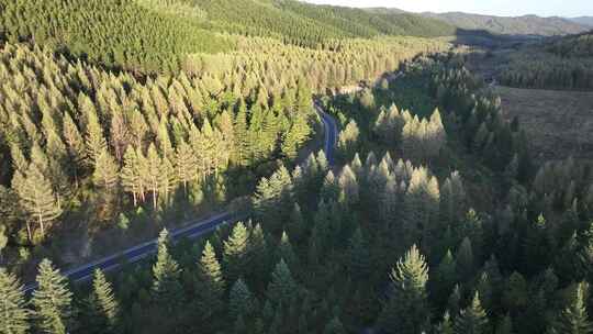 森林公路  航拍开车 航拍 山林驾驶汽车 4k