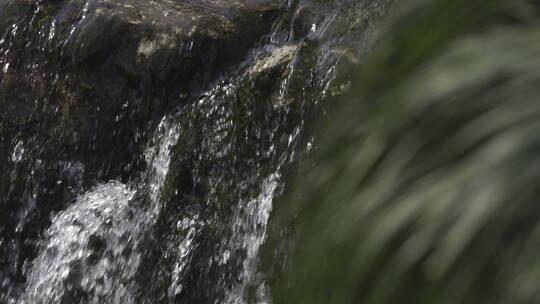 杭州西湖 灵隐寺 园林 森林 山水 庭院 安缦