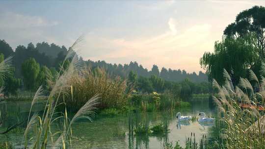 湿地公园 三维城市公园  天鹅湿地 三维湖泊视频素材模板下载