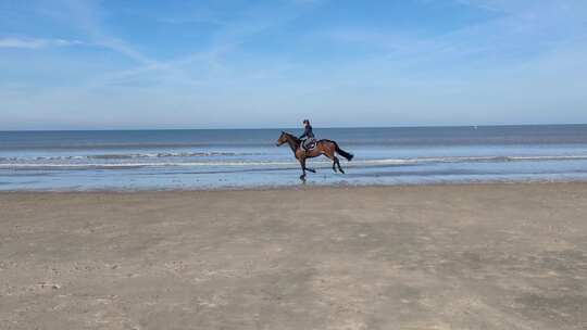 海边沙滩骑马