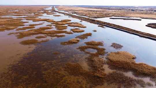 航拍山东黄河入海口湿地生态