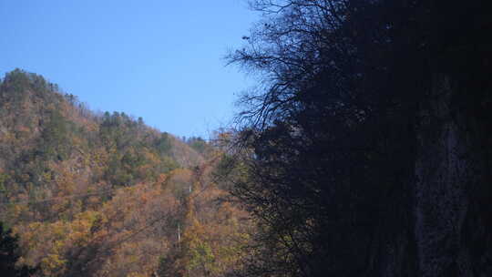 秦岭秋季风景