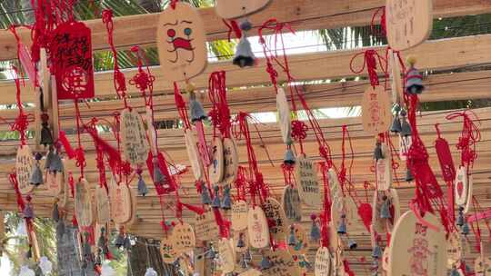 南海岛旅游在椰树下许愿浪漫的风铃声