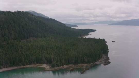 丘陵，海岸，森林，河口