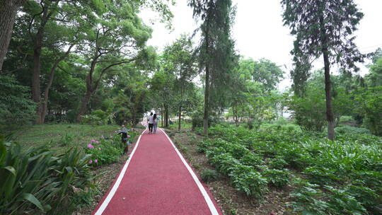 武汉中国科学院武汉植物园