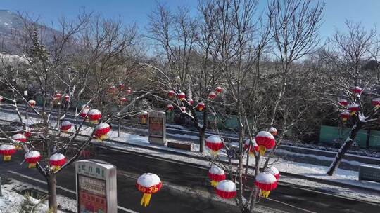 泰山红门路，再现“雪打灯”的美景