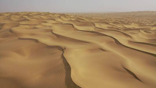 新疆塔克拉玛干沙漠一个人在行走视频素材模板下载