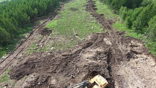 森林中挖掘机作业场景