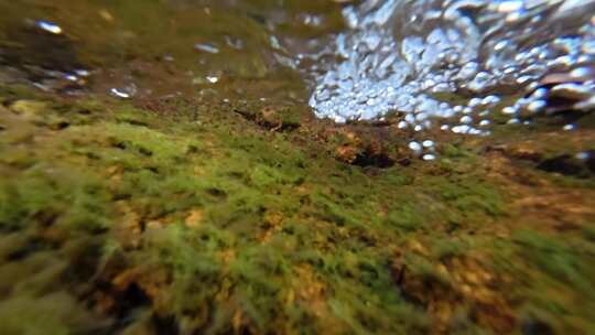 水下水流泡沐与苔藓景观升格特写