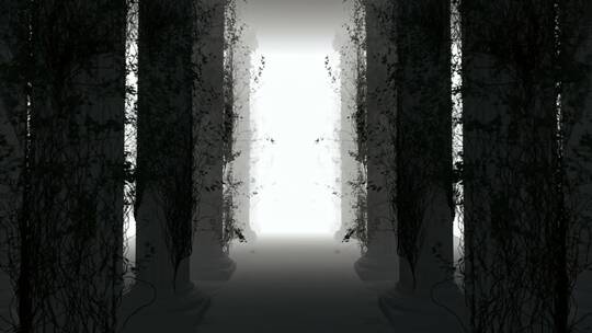 穿行在带有虚拟雾的森林中_3D循环