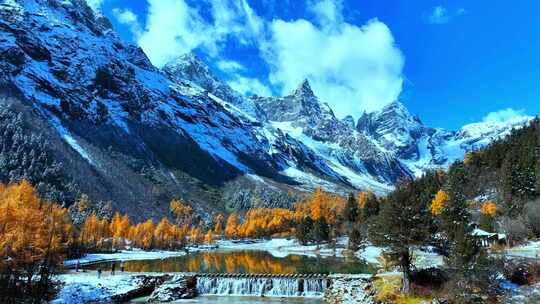 雪山下多彩树林与湖泊相映的美景