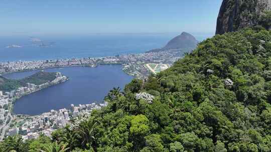 巴西里约热内卢市中心的大西洋森林。蒂朱卡视频素材模板下载