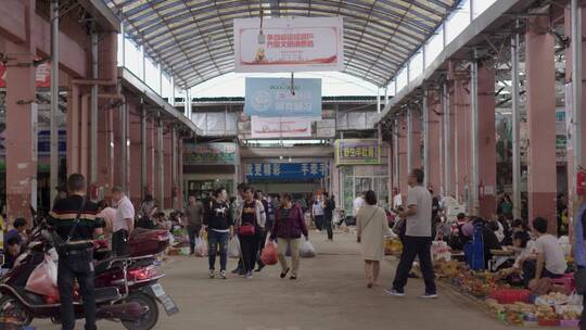 云南木水花野生菌市场视频素材模板下载