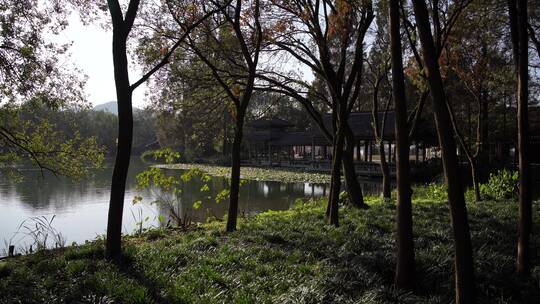 杭州西湖十景茅家埠水乡风景