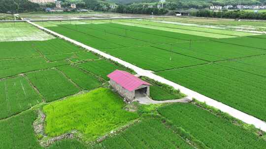 航拍福建南平市浦城城市风光建筑历史古建