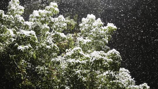 唯美意境的城市雪景1