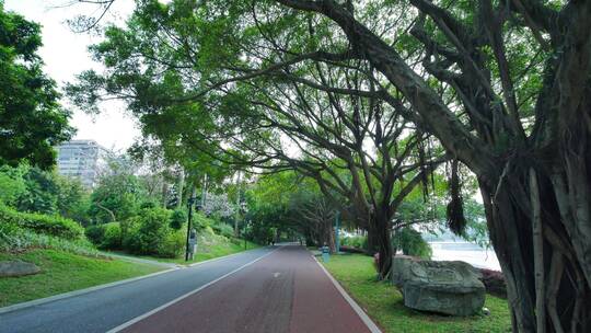 南宁南湖公园阳光林荫跑道