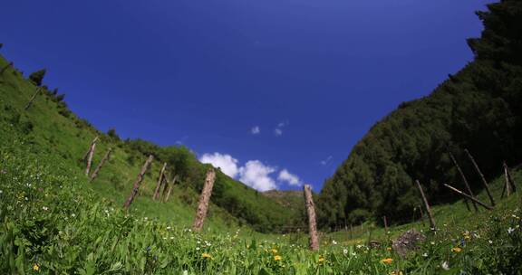 青海互助浪士当景区延时摄影视频