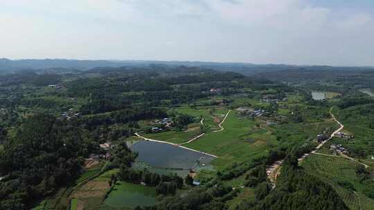 乡村田野、四川罗江广袤土地