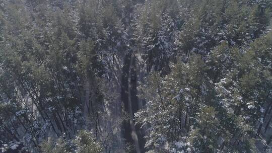 唯美长白山原始森林日出雪景航拍