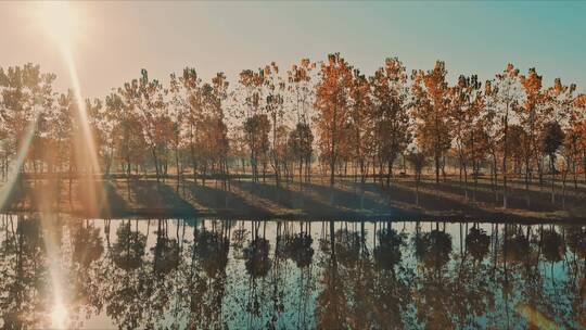 冬日朝阳里的城市湿地生态水系景观