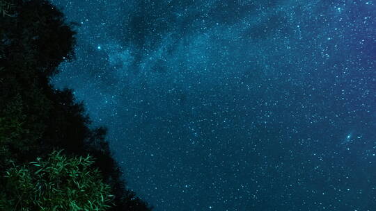 摄像机沿着树移动延时拍摄星空银河静谧夜景
