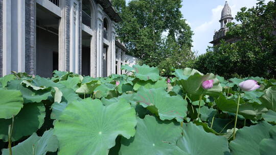 武汉江岸十大景观古德寺