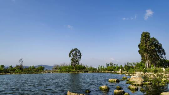 东大河湿地公园风光延时