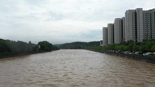 2024年6月下旬黄山市暴雨后洪水来袭