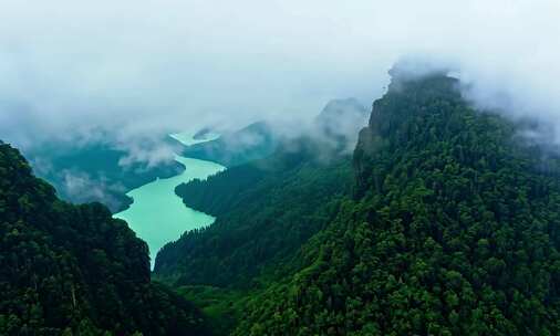 云雾缭绕中翠绿山林间的河流景象