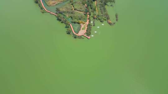 航拍昆明滇池捞鱼河湿地公园