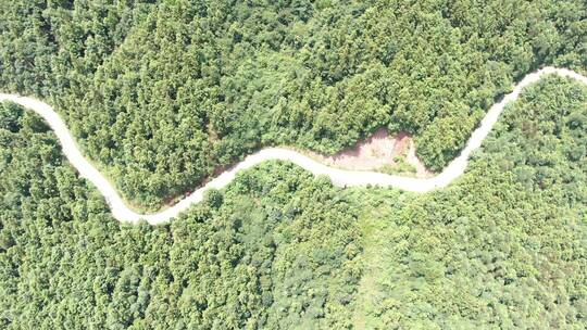 大自然山川湖泊森林河流