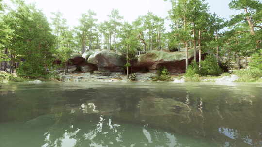 树木和岩石环绕的水体