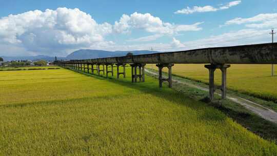 大理稻田航拍风光